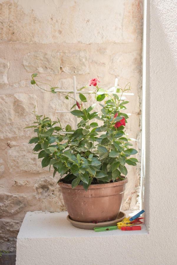 Yacht Harbor Apartment Hvar Town Exterior photo